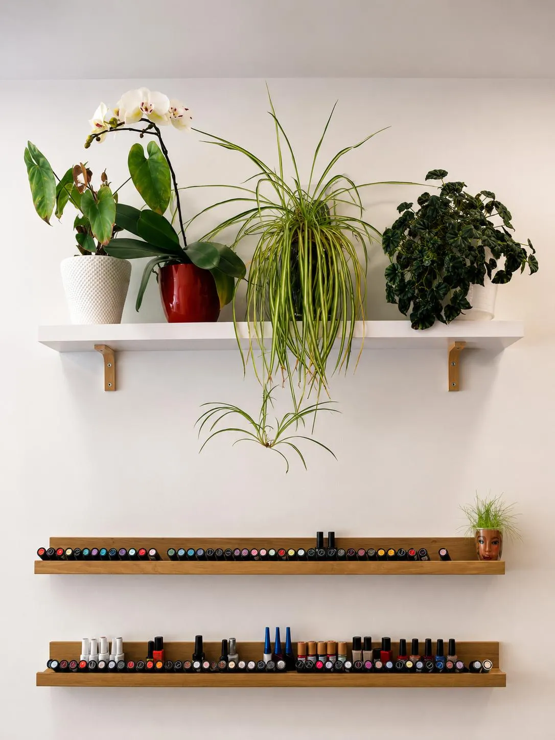 Nuestra pared de esmaltes, con plantas, en el salón